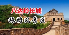 黄色网站逼我操你逼中国北京-八达岭长城旅游风景区